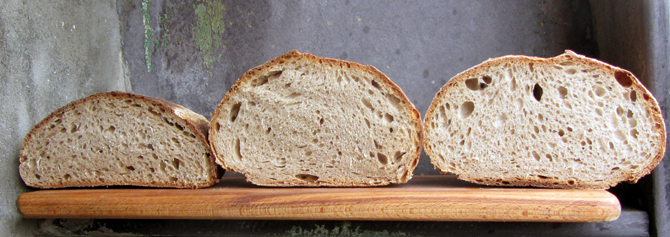 nicks classic 001 small