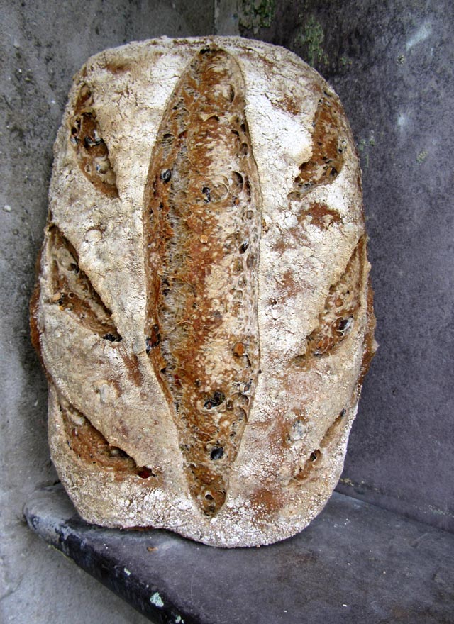 black bean crust 001 small