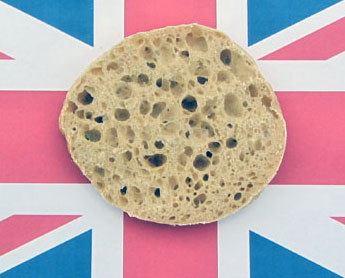 muffin crumb 001 smaller