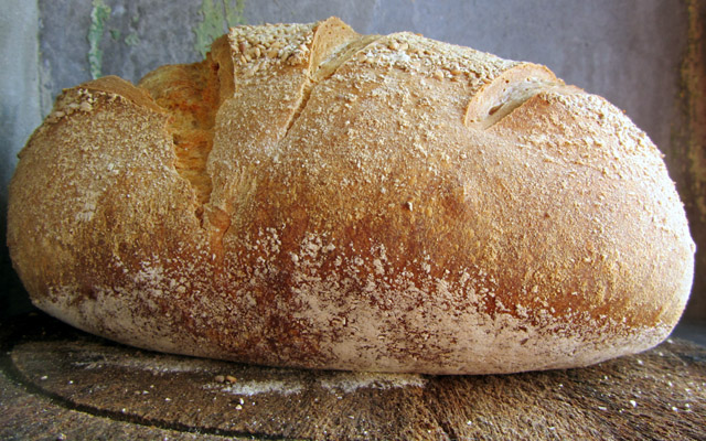 fastbread 002 small