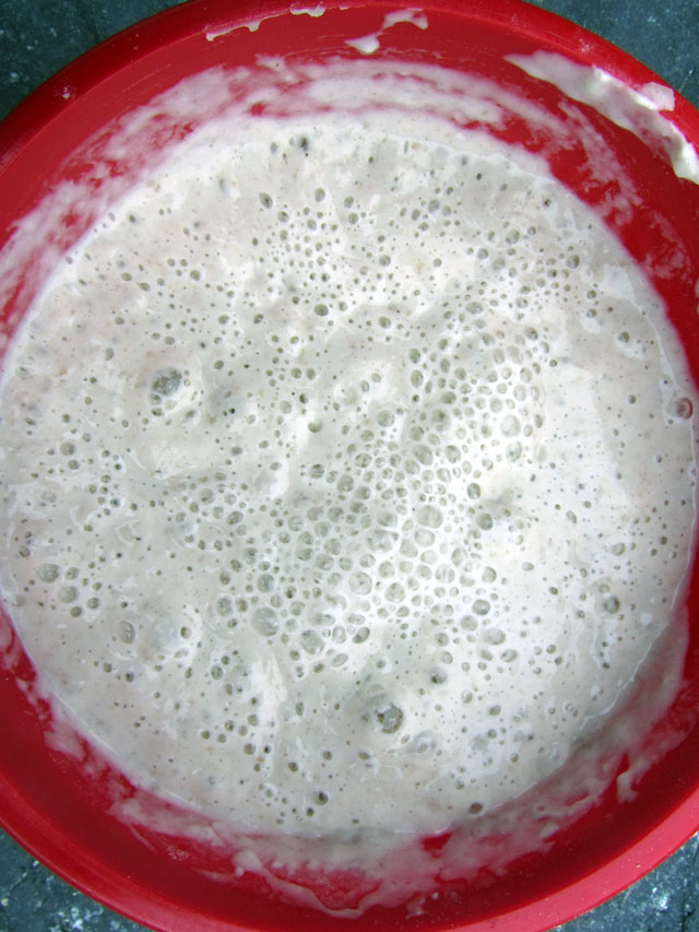 mickstarter 001 small