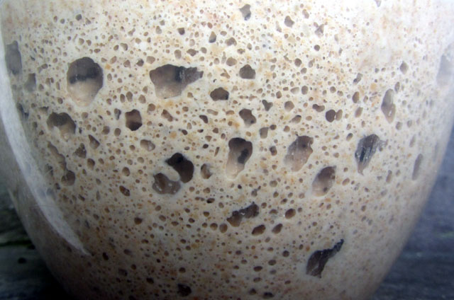 ryestarter 002 small