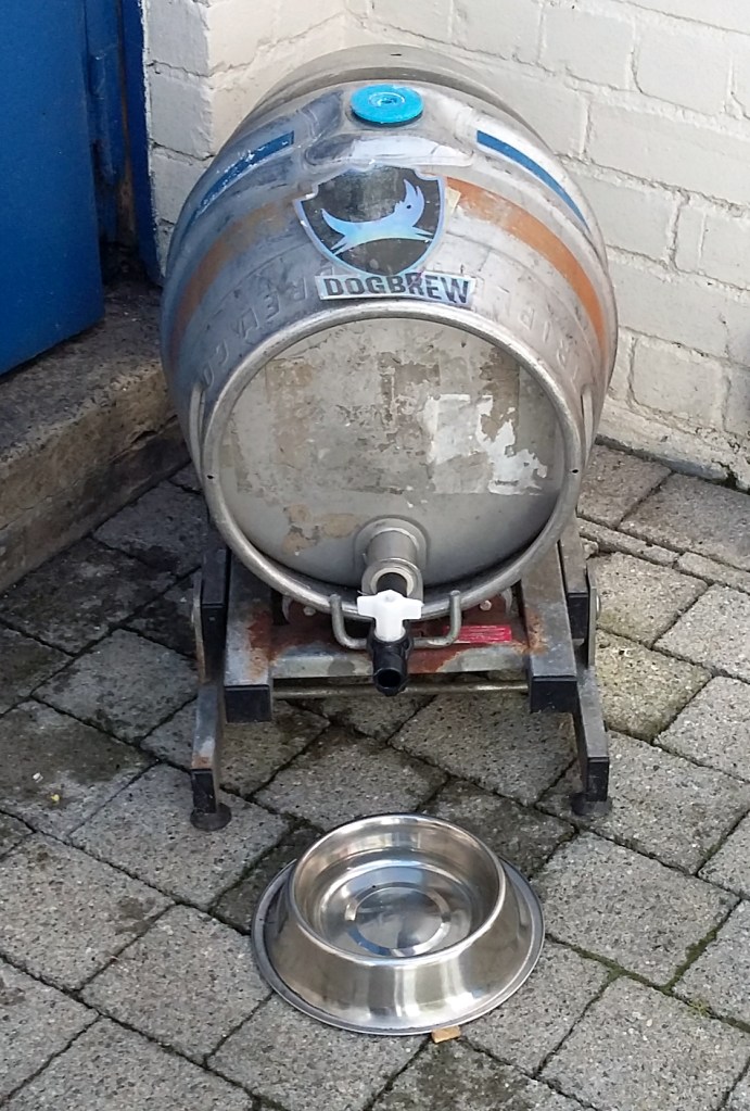 dogbrew