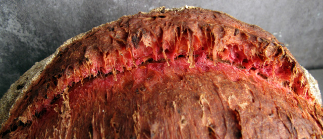 beetgrigne 001 small