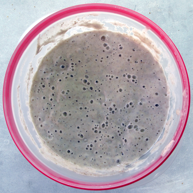 starter-day-01-small